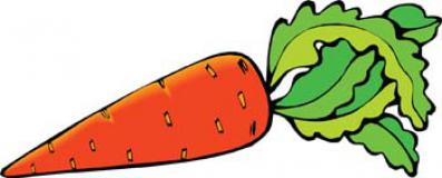 Clipart of carrot