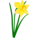 clipart-daffodil-f54c.png