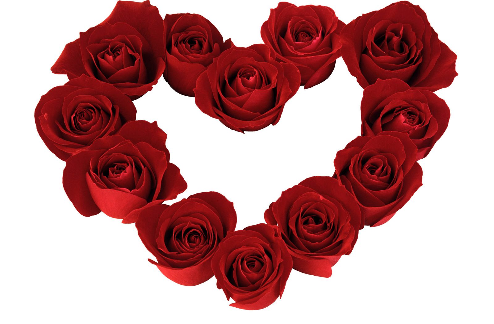 red roses heart | Zellox