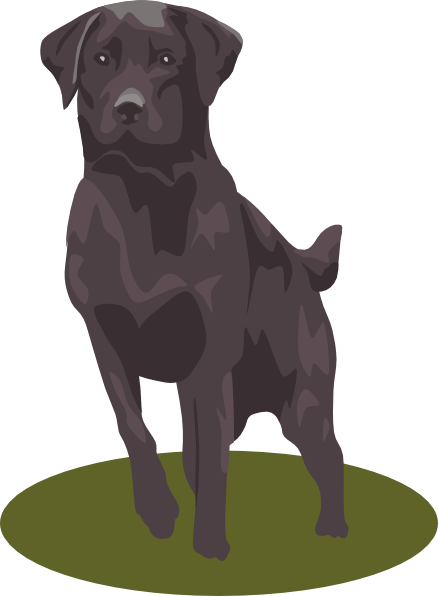 Labrador Retriever (black) clip art Free Vector