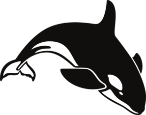 Free Whale Clip Art Straight from the Ocean