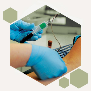 Why Become a Phlebotomist?