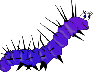caterpillar-gusano-md.png