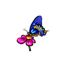 Dragondropland has animated flower and butterfly makers.