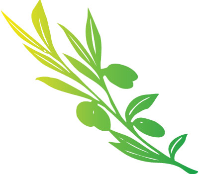 Olive Tree Vector Download for Free