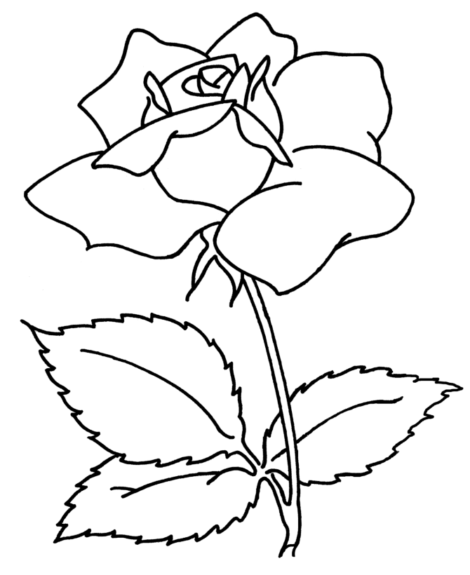 Draw flowers coloring pages |coloring pages for adults, coloring ...
