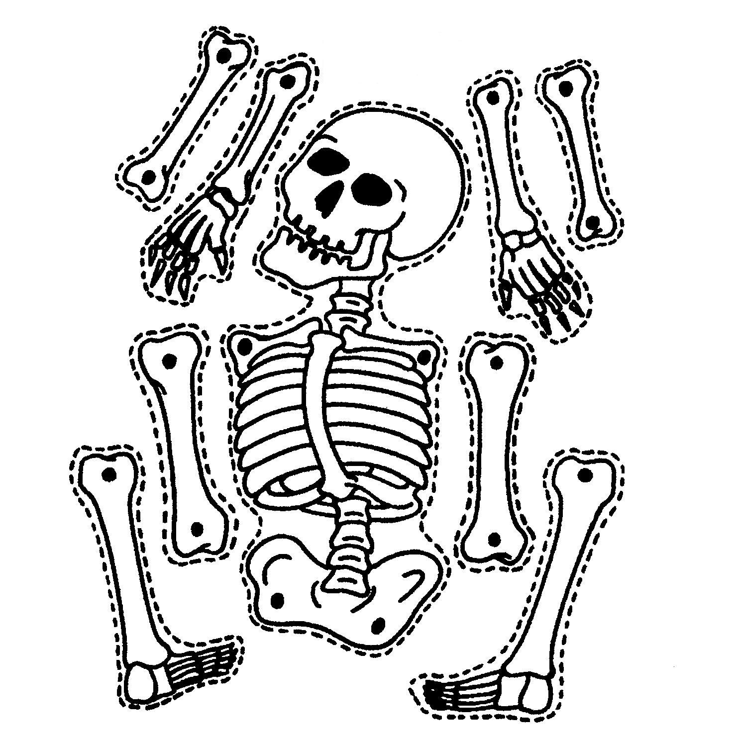 Printable Skeleton Template Cut Out - ClipArt Best