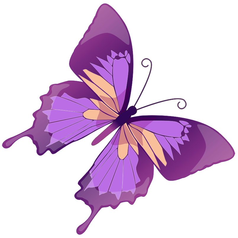 clip art cartoon butterfly - photo #22