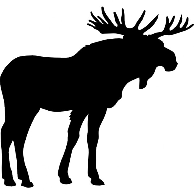 Moose Vectors, Photos and PSD files | Free Download