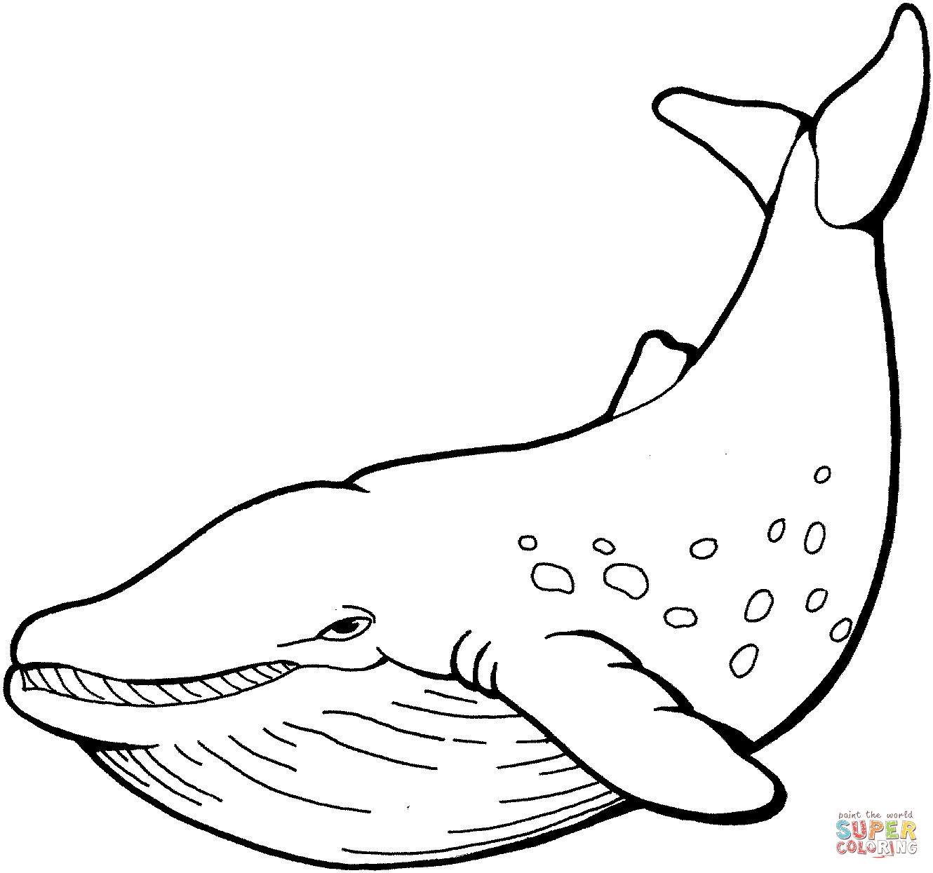 Simple Cartoon Sperm Whale coloring page | Free Printable Coloring ...