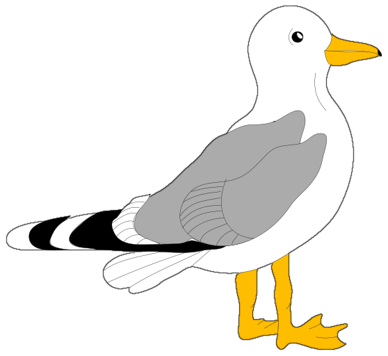 Seagull Clipart - Free Clipart Images