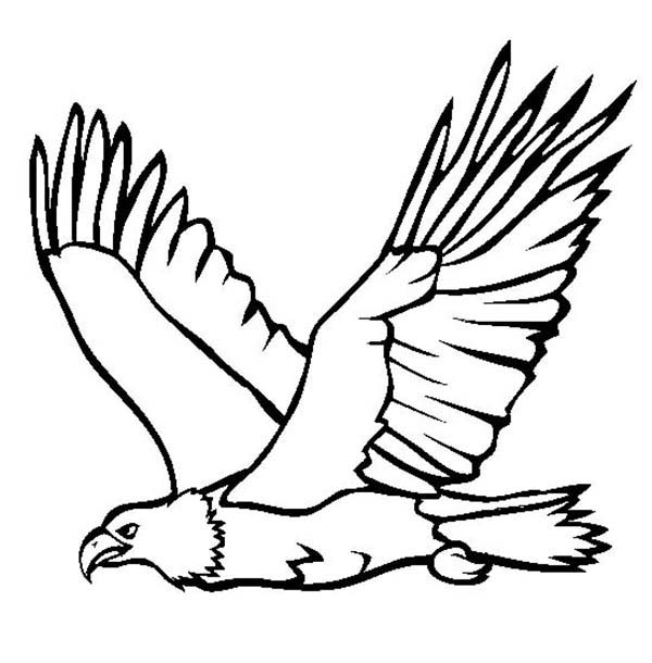 eagle coloring pages easy - photo #1