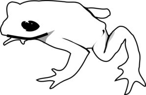 Tree Frog Outline - Free Clipart Images