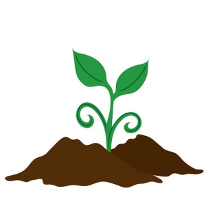 Growing Plant Clipart - Free Clipart Images