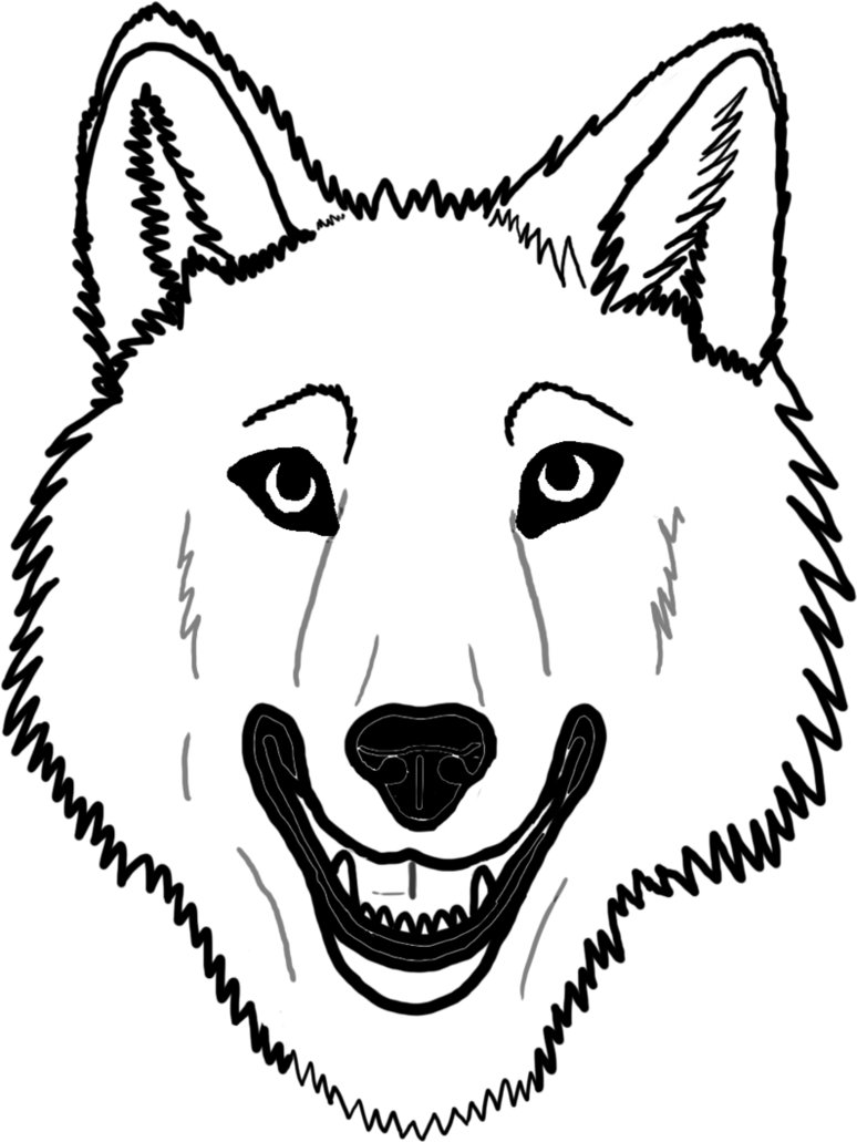 Line Drawing Wolf Face : How to draw a wolf face clipart best