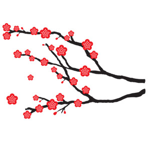 Cherry Blossom - Ultimate Pack - Organic - Wall Decals - Plastic ...