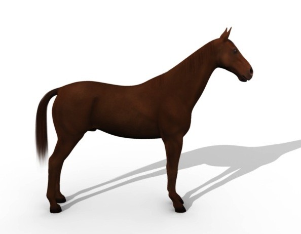 realistic horse animation 3d model - ClipArt Best - ClipArt Best