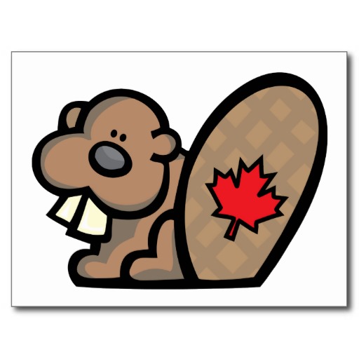 Canadian Beaver Postcard at Zazzle.