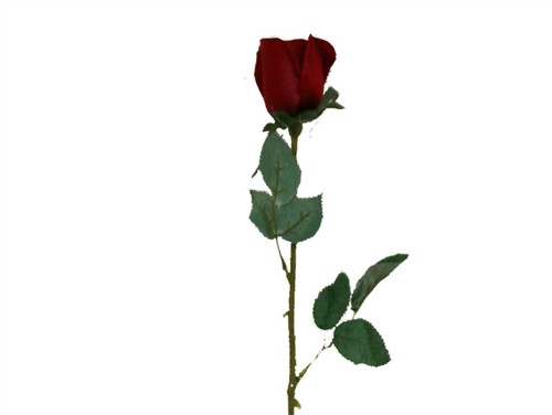 clipart long stem roses - photo #10