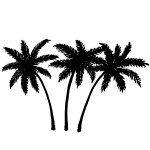 Three palm trees silhouette, Plants and Animals, download Royalty ...