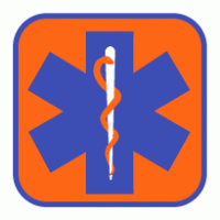 Star Of Life Orange Logo Vector Download Free (AI,EPS,CDR,SVG,PDF ...