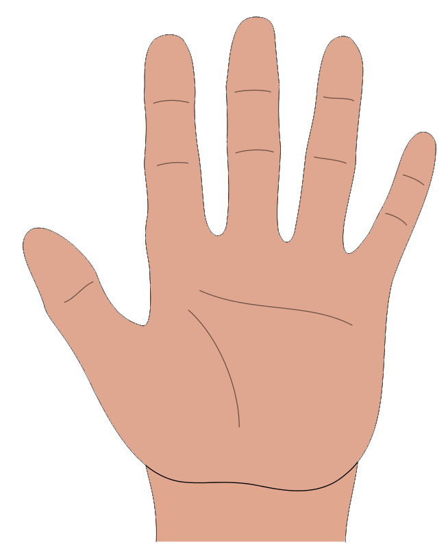 You can use this palm of hand clip art on your personal or commercial projects. This clip art is in the public domain so use it freely on your school ...