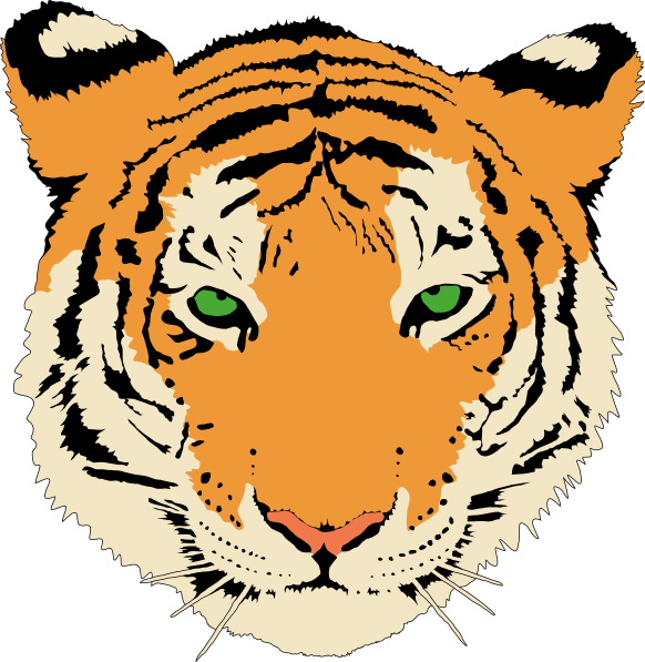 Tiger Cartoon Face | Nice Pics