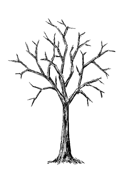 Easy to Make Bare Tree Coloring Page - Pipress.net