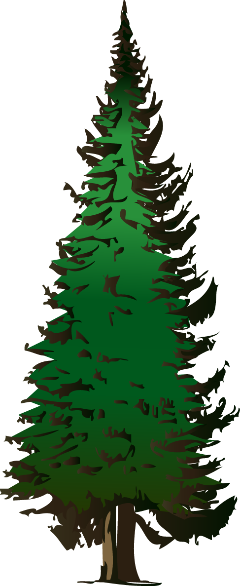 pine trees clipart - photo #14