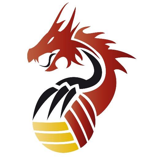 Belgian Red Dragons (@belreddragons) | Twitter