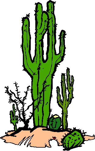 Clipart Cactus - Tumundografico