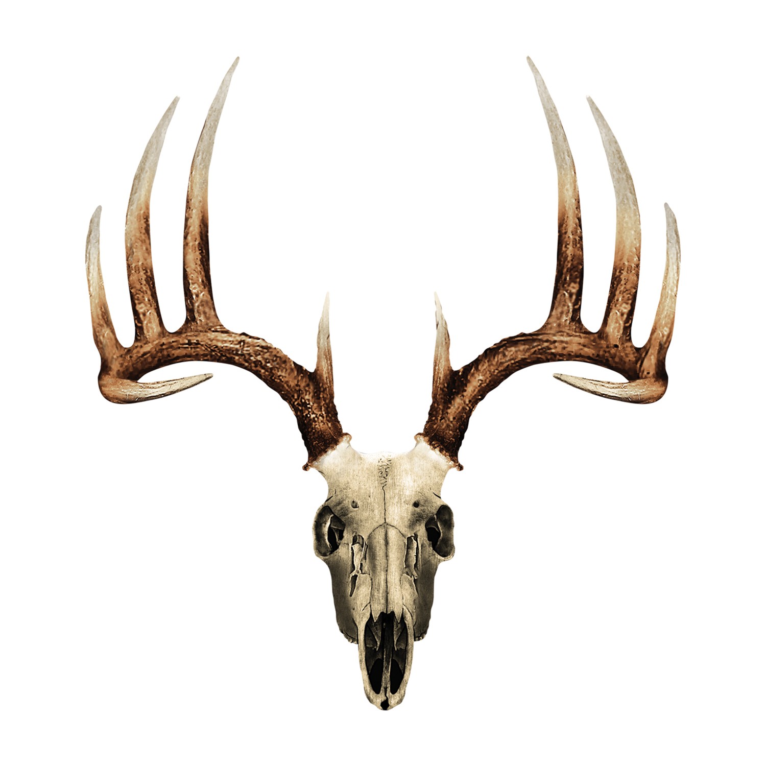 Camo Deer Skull Clipart