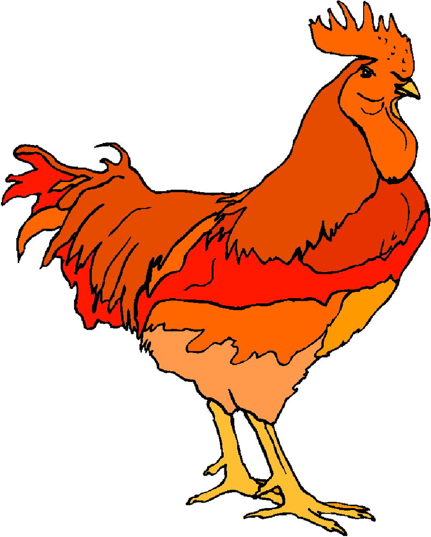 Clip Art Of A Red Hen Clipart - Free to use Clip Art Resource