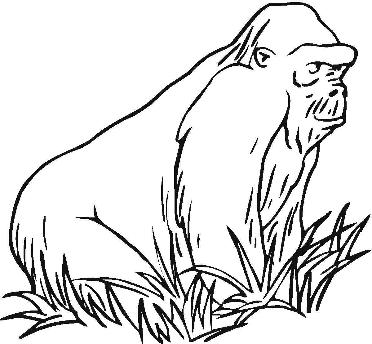 Coloring Pages Of Grass - ClipArt Best