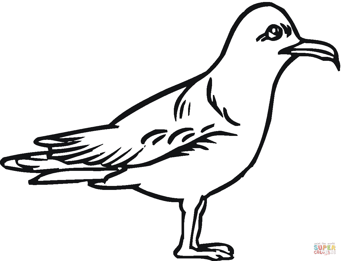 Seagulls coloring pages | Free Coloring Pages