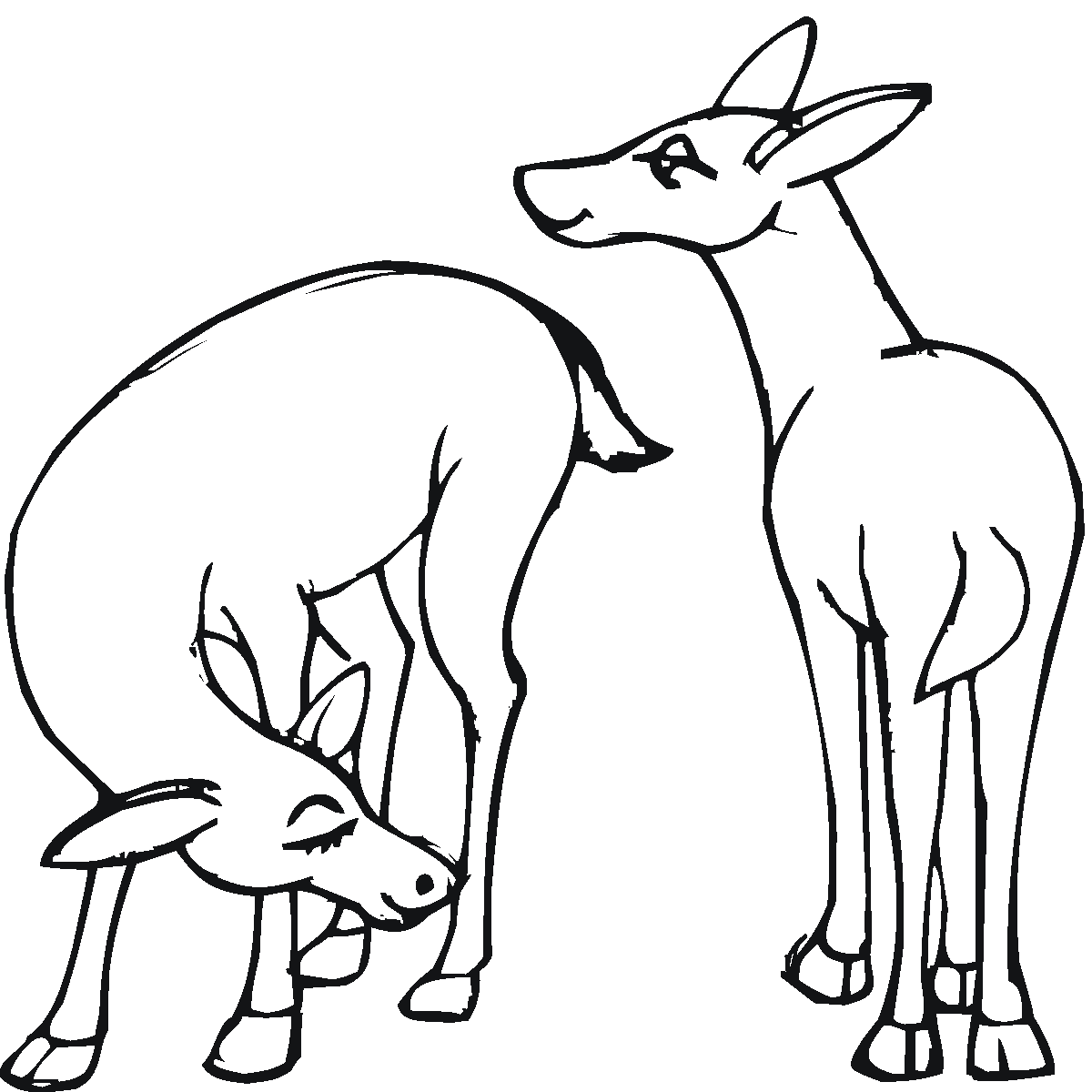 Free Deer Coloring Pages