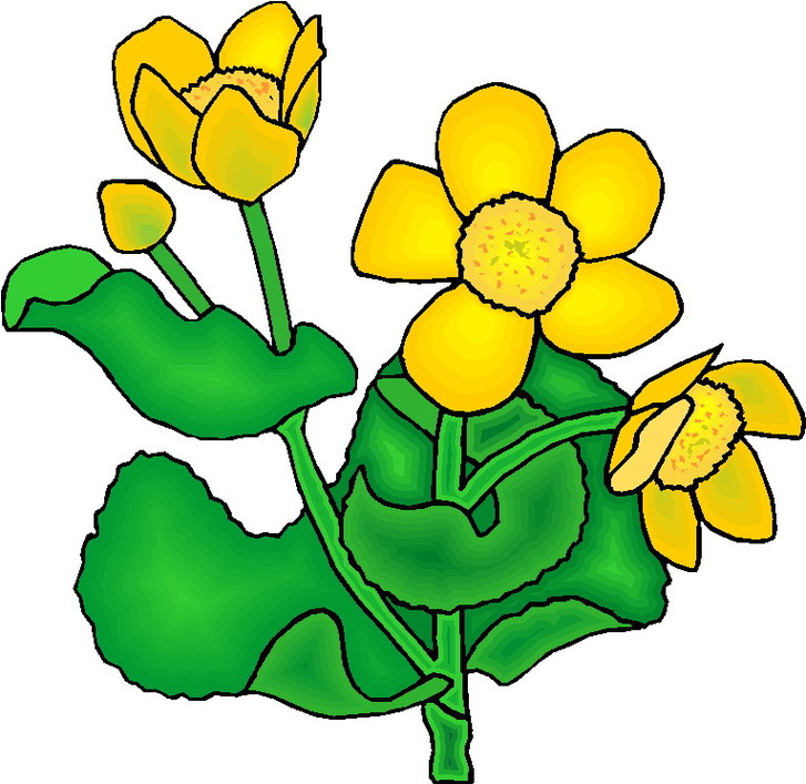 Clip Art Plants Clipart - Free to use Clip Art Resource