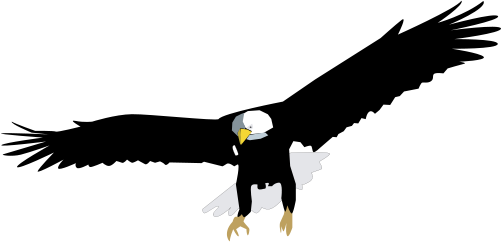 eagle clip art high resolution - photo #31