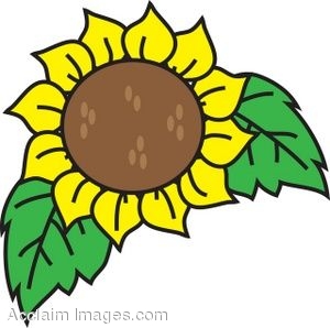 Cute sunflower clipart