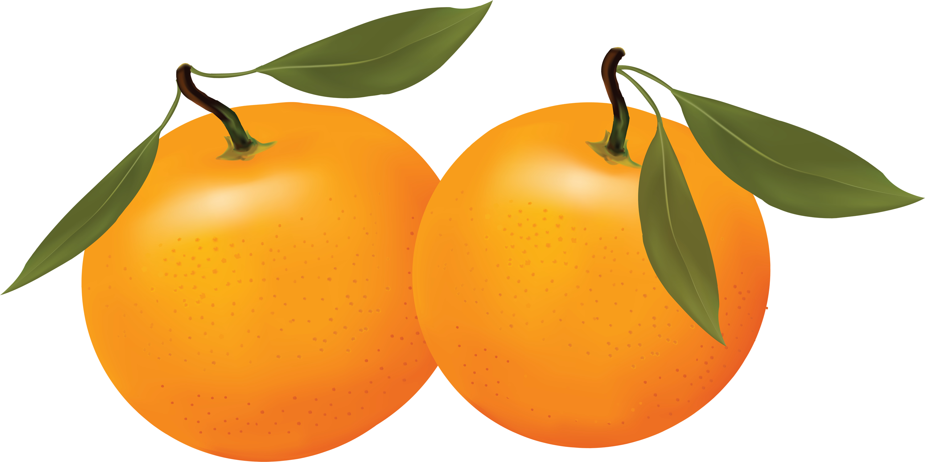 Free orange clipart fruit clip art - Cliparting.com