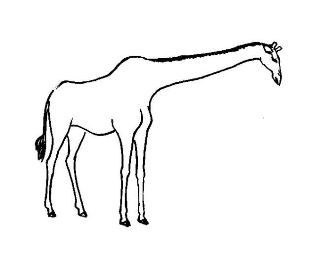 Giraffe Without Spots - ClipArt Best