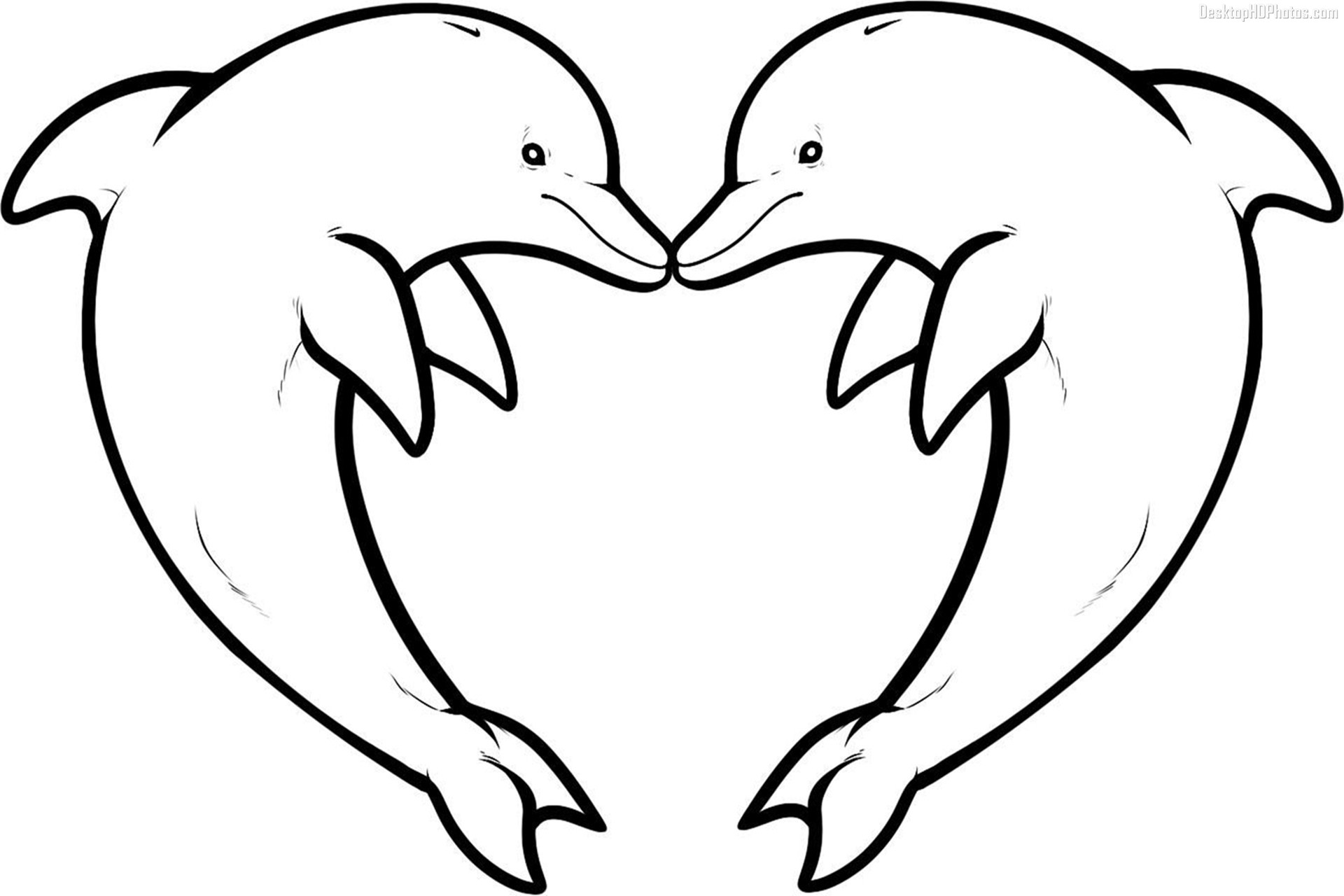 Dolphin Coloring Pages For with HD Resolution 2550x3300 pixels ...