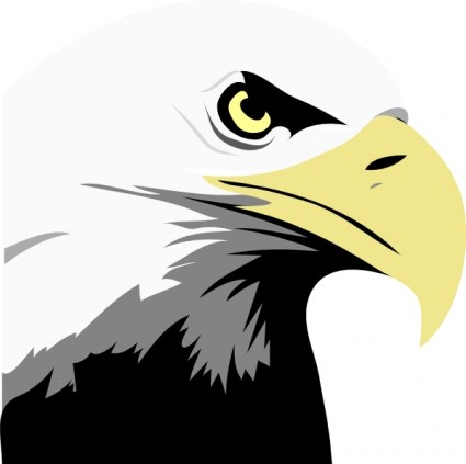 Soaring eagle clip art - ClipartFox