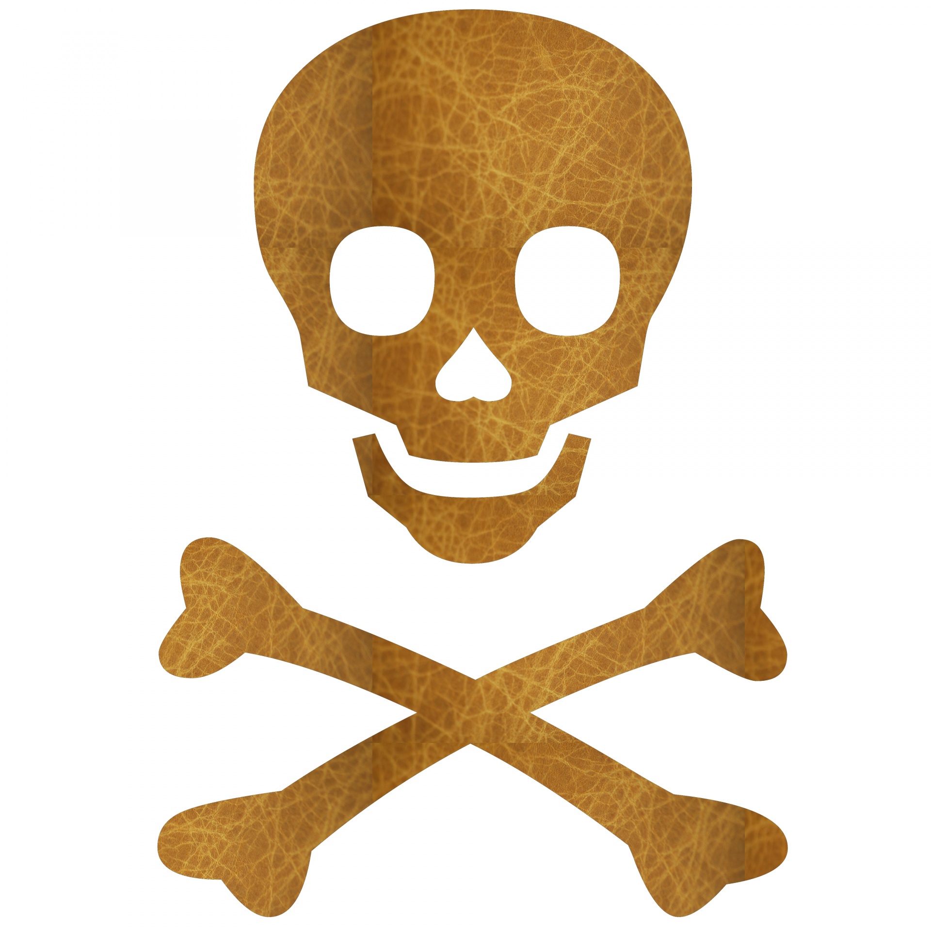 download skull with bones download skull with bones