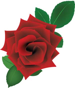 Vector Rose Flower - ClipArt Best