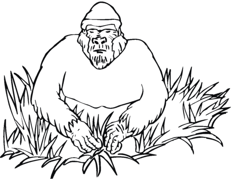 Gorilla In Grass coloring page | Free Printable Coloring Pages