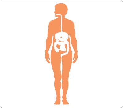 Silhouette Of The Human Body Clipart