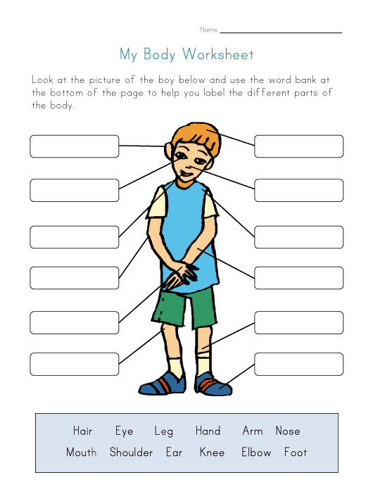 1000+ images about worksheets