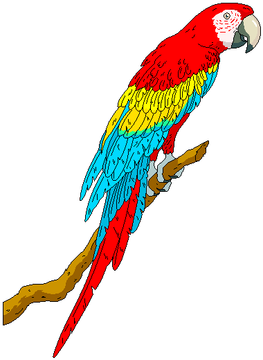 clipart of parrot - photo #7
