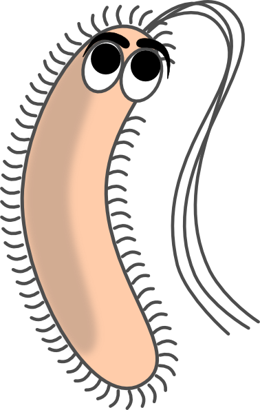 Modified Funny Bacteria clip art - vector clip art online, royalty ...
